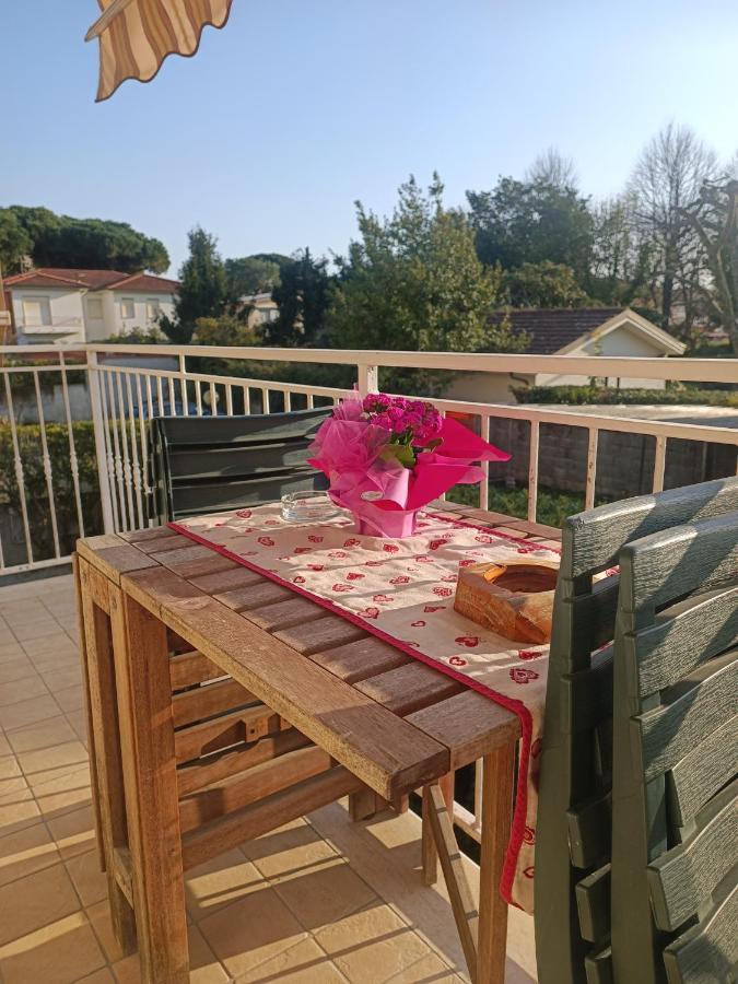 Le Palme 98 "Casa Vacanze" Lido di Camaiore Exteriör bild